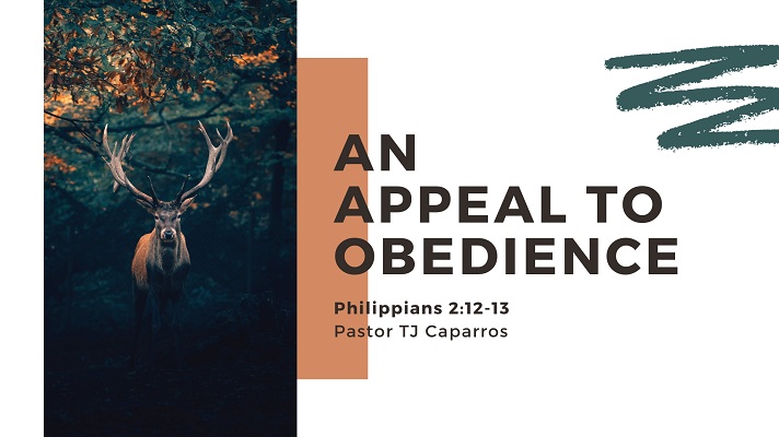 An Appeal To Obedience