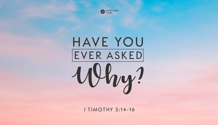 Have You Ever Asked Why?