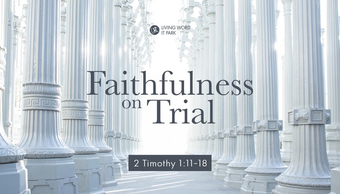 Faithfulness on Trial