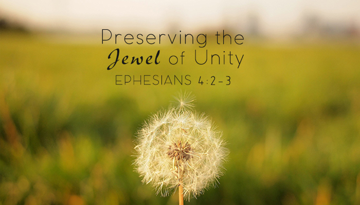 Preserving The Jewel of Unity