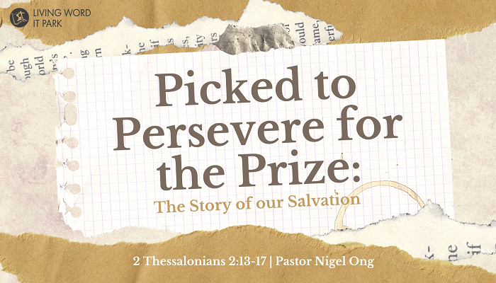 Picked to Persevere for the Prize: The Story of our Salvation