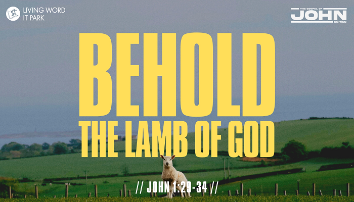 Behold The Lamb of God