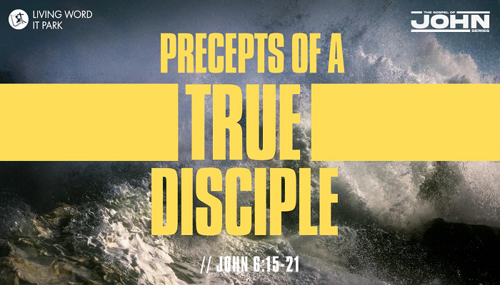Precepts of A True Disciple